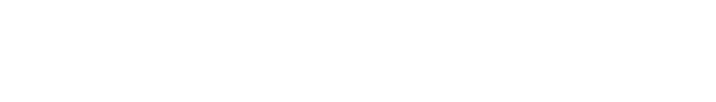 Gnowise logo